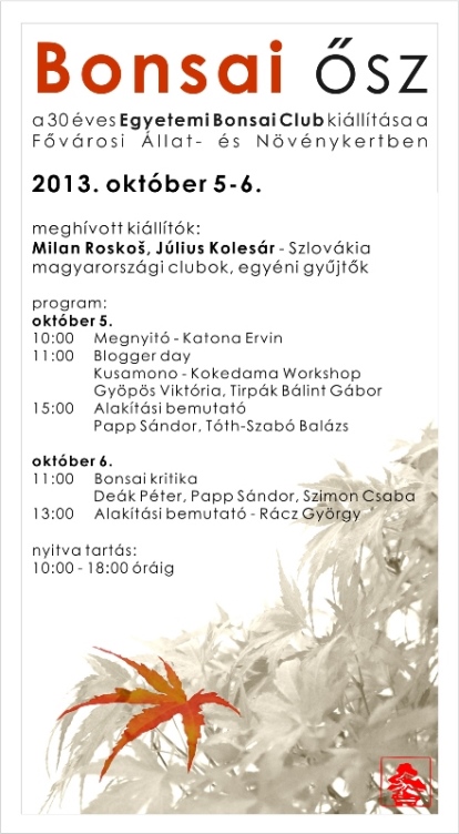 bonsai, bonsai kiallitas, budapest, allatkert, egyetemi bonsai klub, club, marczika, studio, blogger day bonsai kiallitas az egyetemi bonsai club szervezeseben es bonsai blogger day